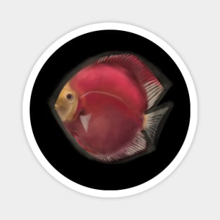 Discus Fish Magnet